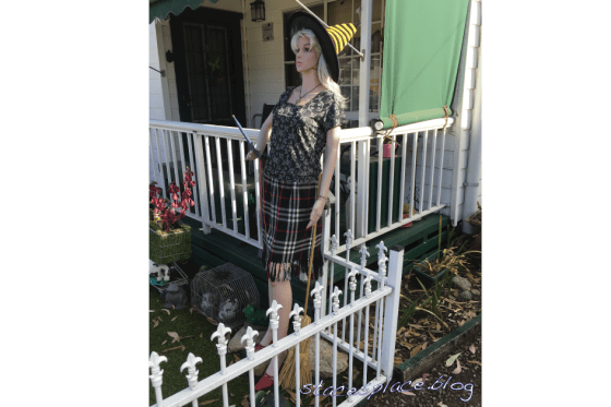 The Odd Thing About Willow