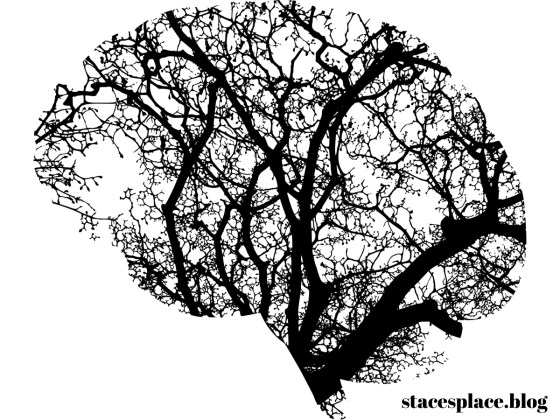 Tree outline in shape of brain - brain-2146817 Image by Gordon Johnson from Pixabay