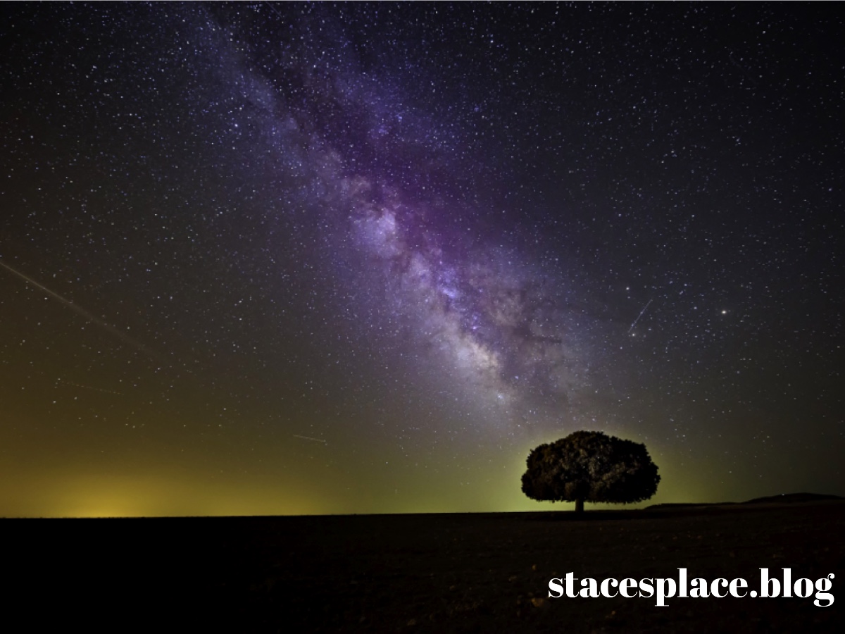 Starry night with tree silhouetted tree-1866602 Image by Pexels from Pixabay