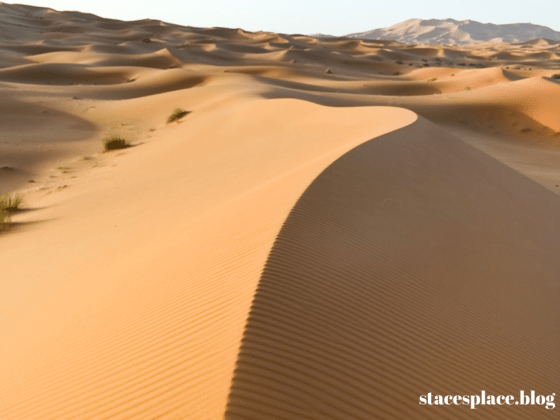 canstockphoto5853411 © nikolpetr - Can Stock Photo Inc.